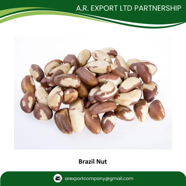 Органический и высококачественный сельскохозяйственный продукт, оптовая продажа шелушеных натуральных бразильских орехов оптом по лучшей цене