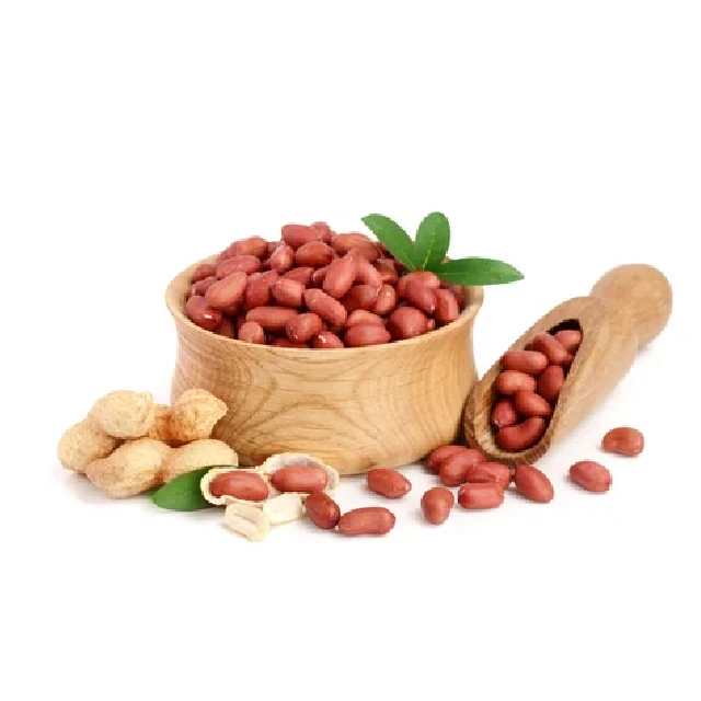 Rich in Protein Rich Organic Protein Kernel Raw Peanuts Kernel Peanut PEANUT JAVA Original Peanut Flavor Good Grade 12 Months