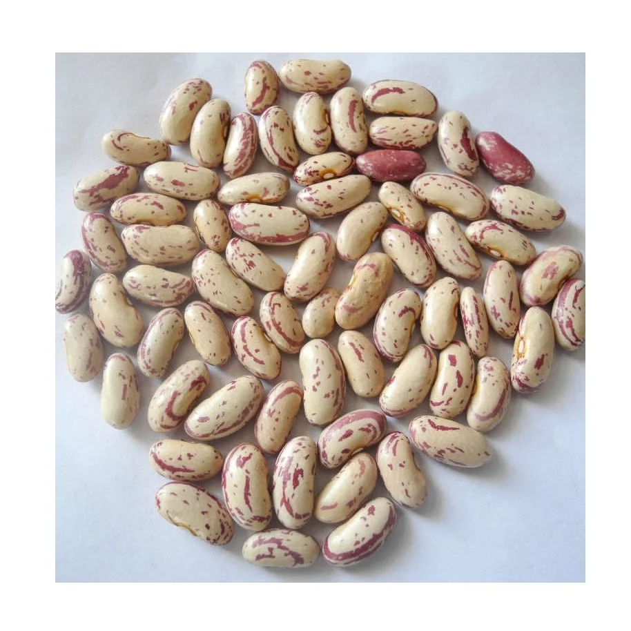 Высокое качество низкая оптовая цена сушеные бобы Pinto Beans/легкие зернистые для