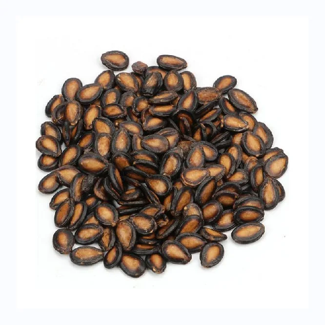 from black and red watermelon seeds OEM wholesale high quality not GMO Chinese black watermelon seeds Kernels