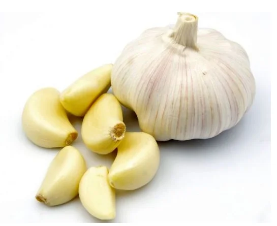 Mexico Low Price Fresh Garlic White Purple Crop Fresh Pure White Garlic Fresh Garlic Exporter Supplier