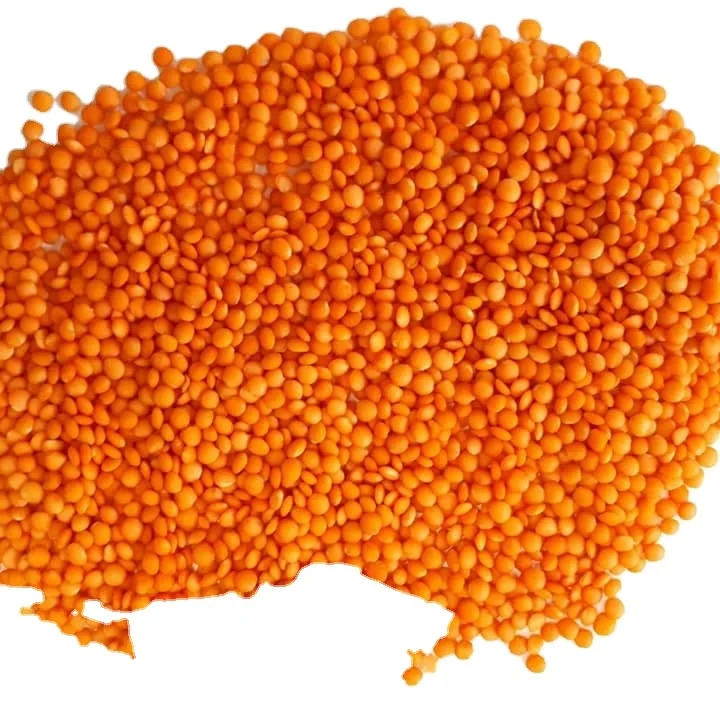 New Product Quality Red Lentils for sell