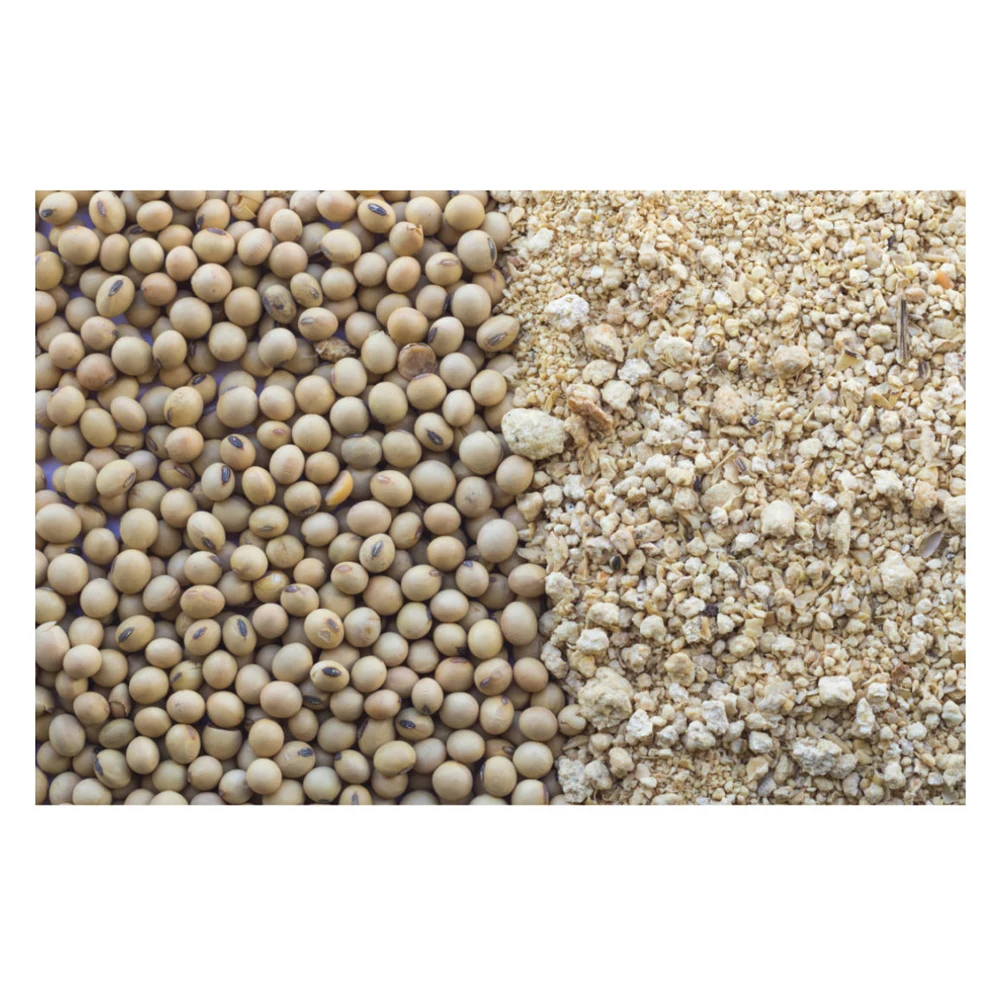 High Quality Price Defatted Maker High Protein Feed Buy Full Fat Sale Soybean Meal For Horses