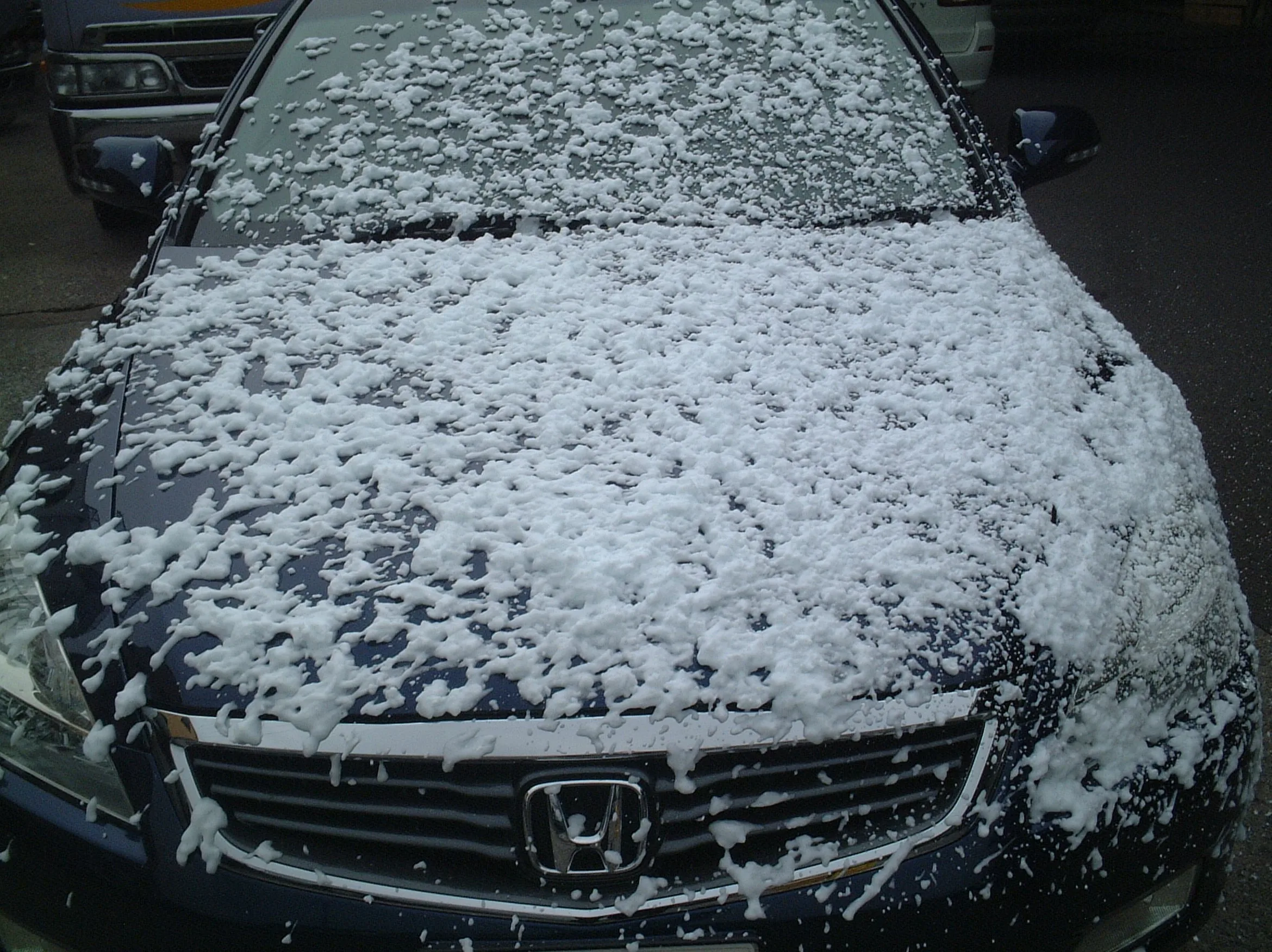 ROYAL CONCENTRATE SNOW FOAM TOUCHLESS SHAMPOO- CAR CLEANING SHAMPOO (4L),Customized size available