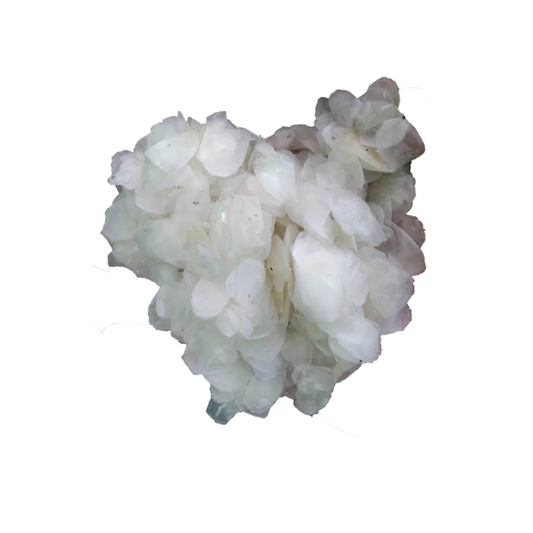 DRIED SEABASS FISH SCALE - FISH BY-PRODUCT SCALE FOR EXPORTING