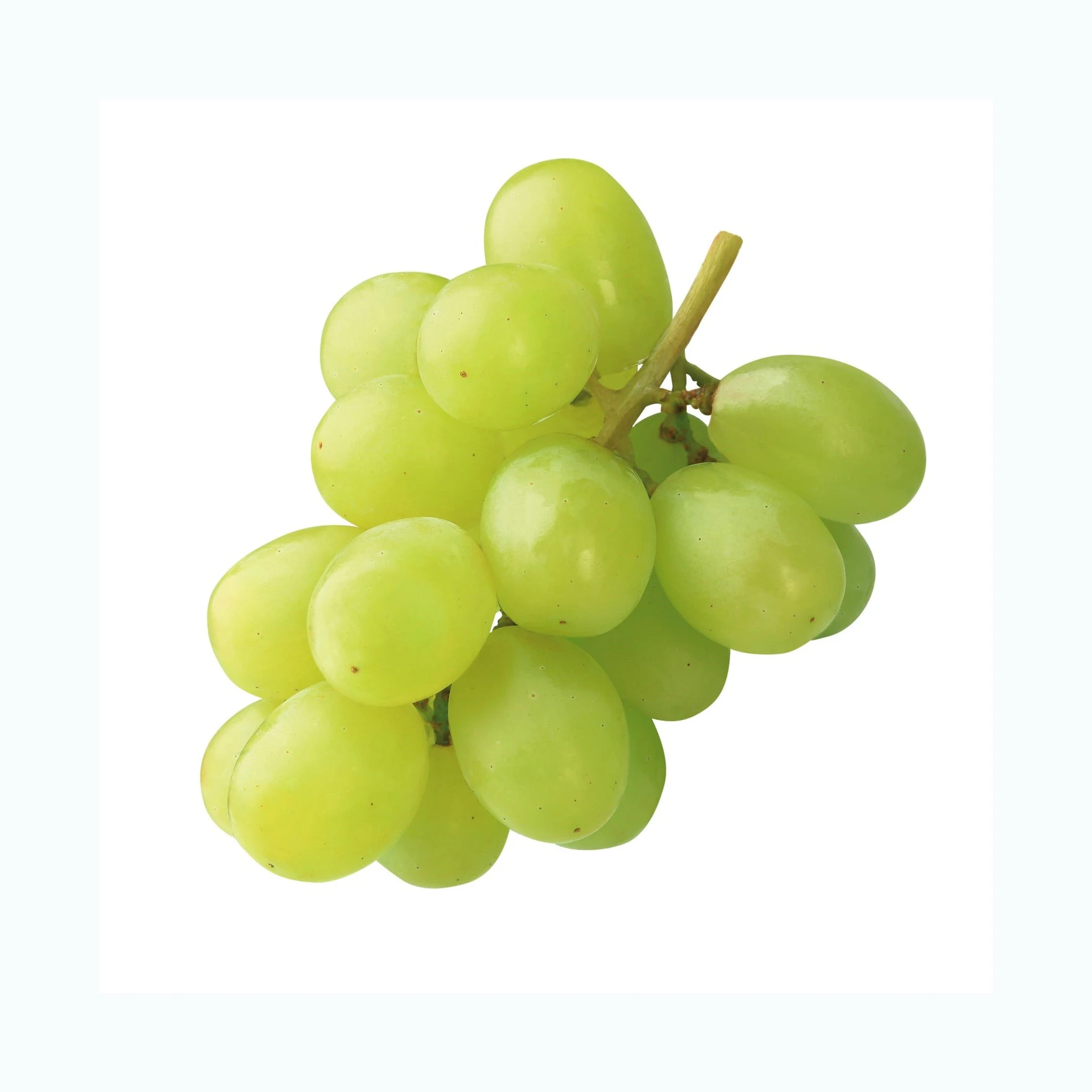 High Sweet Fresh Shine Muscat Grapes Natural Seedless Green Grapes with Rich Vitamins Produced in AUSTRIA