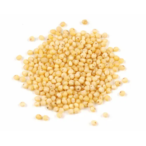 Healthy Nutritious Dried  White and Yellow  Millet Seed For Feeding