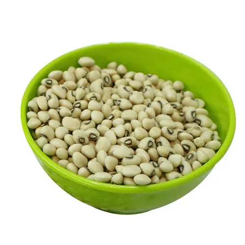 Wholesale Hot Selling Natural White Beans White Sugar Bean New Crop