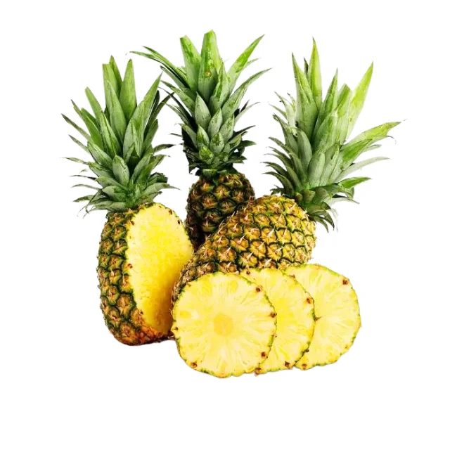 Competitive Price  High Quality Fresh Pineapple Wholesale Export Quality Organic Pineapple from Viet Nam