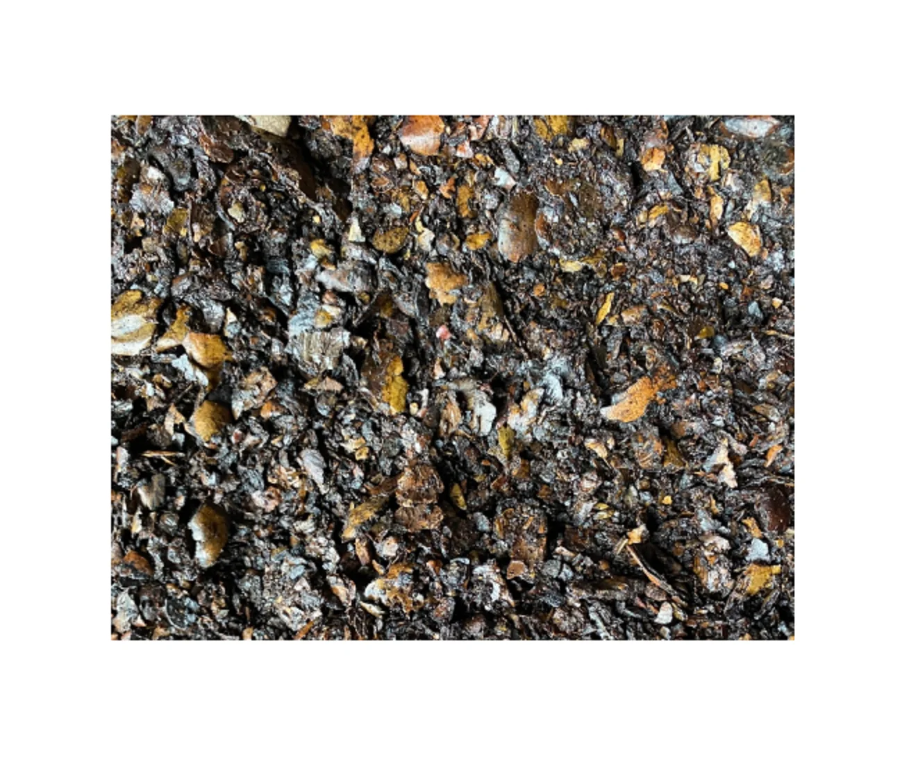 Cashew Shell Residue (CNSW) | Cashew Nut Shell Extraction(CNSE) | CASHEW NUT SHELL LIQUID (CNSL)