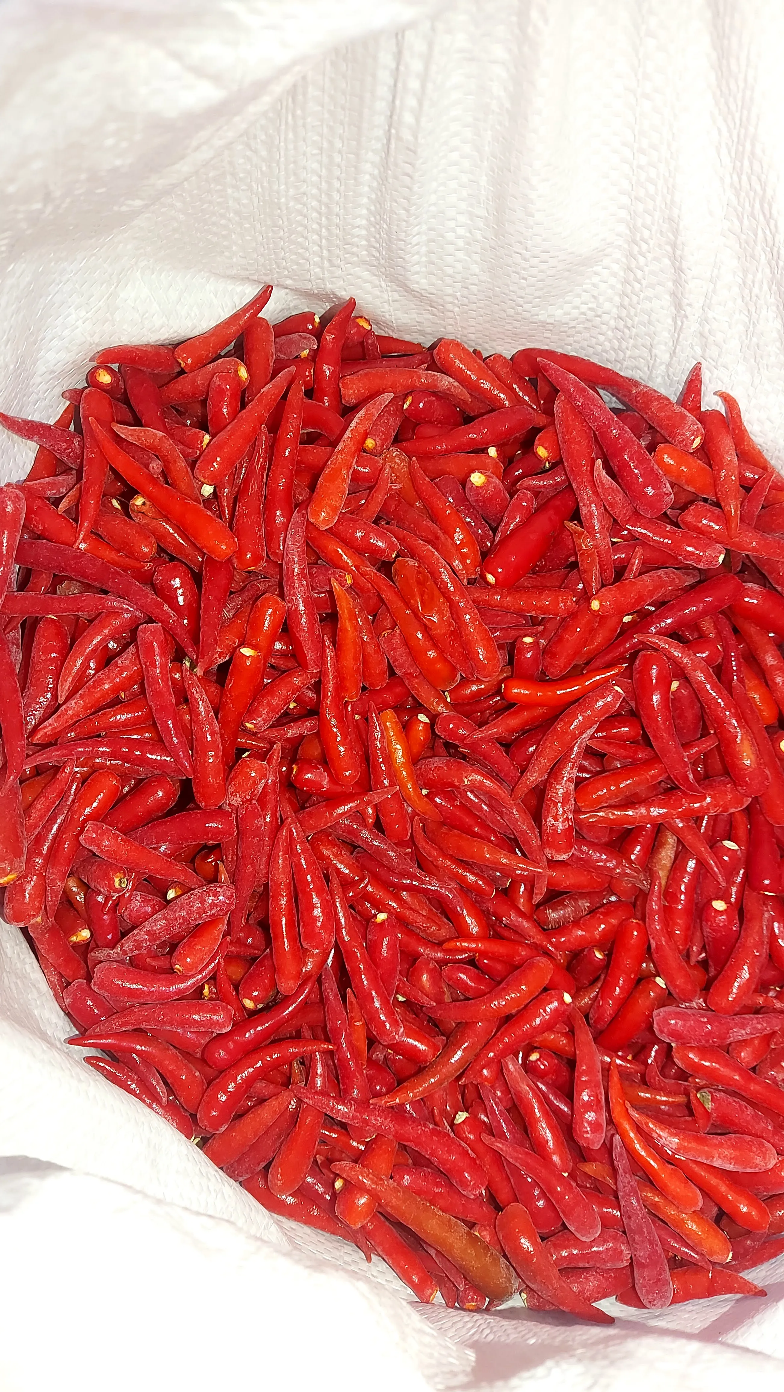 Замороженный красный чили BQf из Вьетнама, процесс замораживания специй, вакуумная упаковка, замороженные овощи
