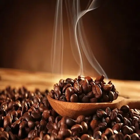 Natural Robusta Coffee Bean for export