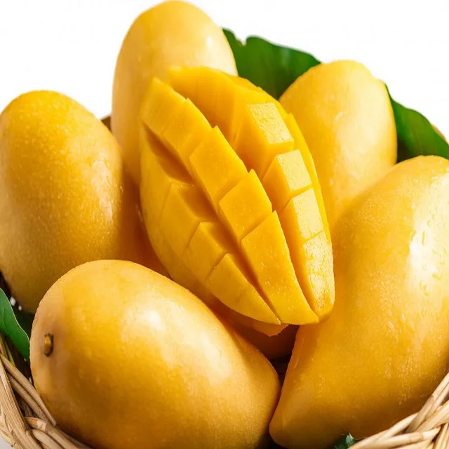 High Quality Globally Selling Fresh Mango From Pakistan to All Yellow Tropical August Style Time Packing Mature Organic Color
