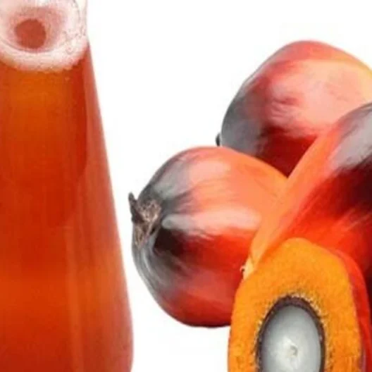 REFINED PALM OIL / Red Palm Oil / Crude Palm Oil