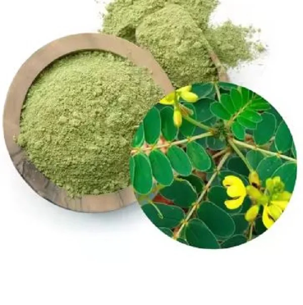 Cassia Obovata powder at wholesale Price From India