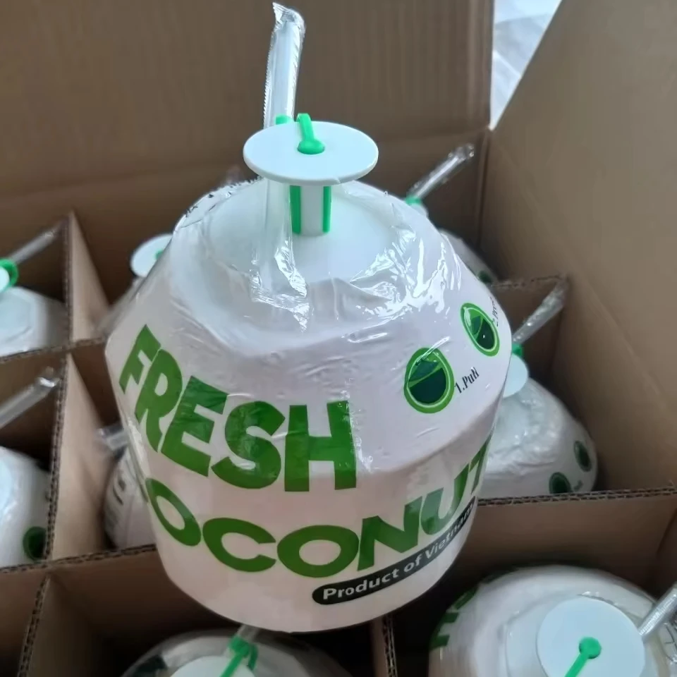 Exporter Diamond Shape Easy Open Coconut Fresh Young Organic Coconut Water High Quality (Whatsapp 0084362512699)