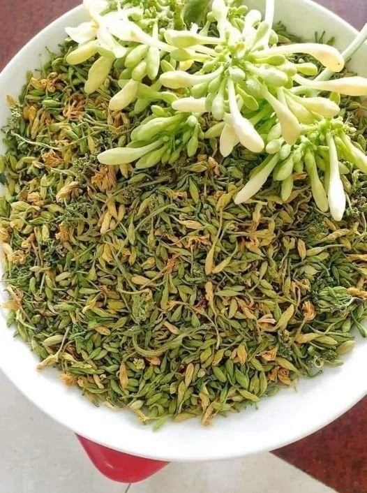 DRIED MALE PAPAYA FLOWERS / AROMATIC HERBAL BLEND HIGH-QUALITY MADE in VIETNAM