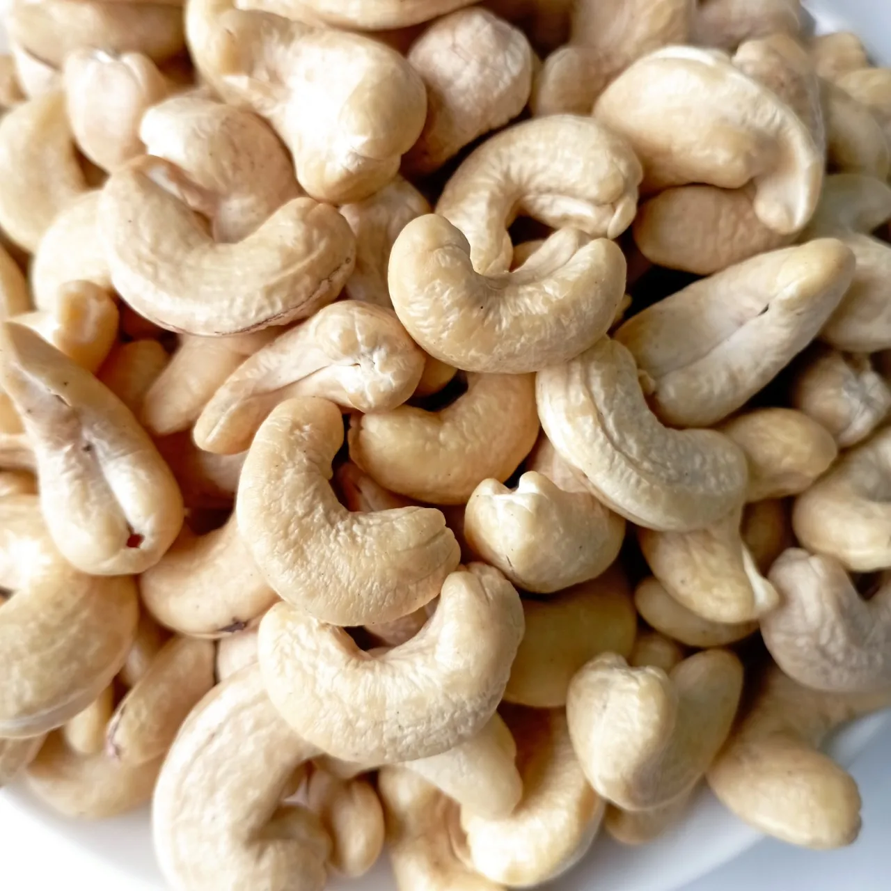 Cashew Nuts WW320 Special Product With Origin Vietnam Best Price For Sale High Quality Prestigious Manufacture