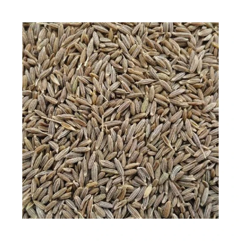 New Season Dried Cumin Seeds Jeera Natural Cumin Single Spices & Herbs from Indian Manufacturer