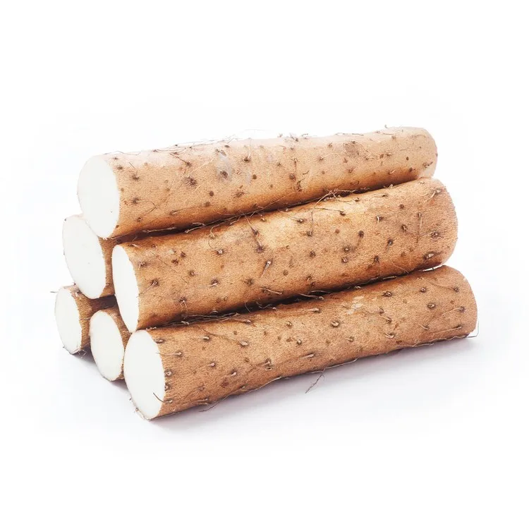 Лучшая заводская цена на свежие овощи Burdock доступен в наличии оптом с