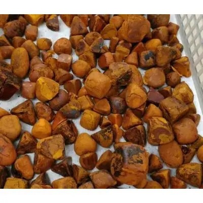 Ox Gallstones Cattle Gallstones Best Grade Cow Gallstones for sale ready now
