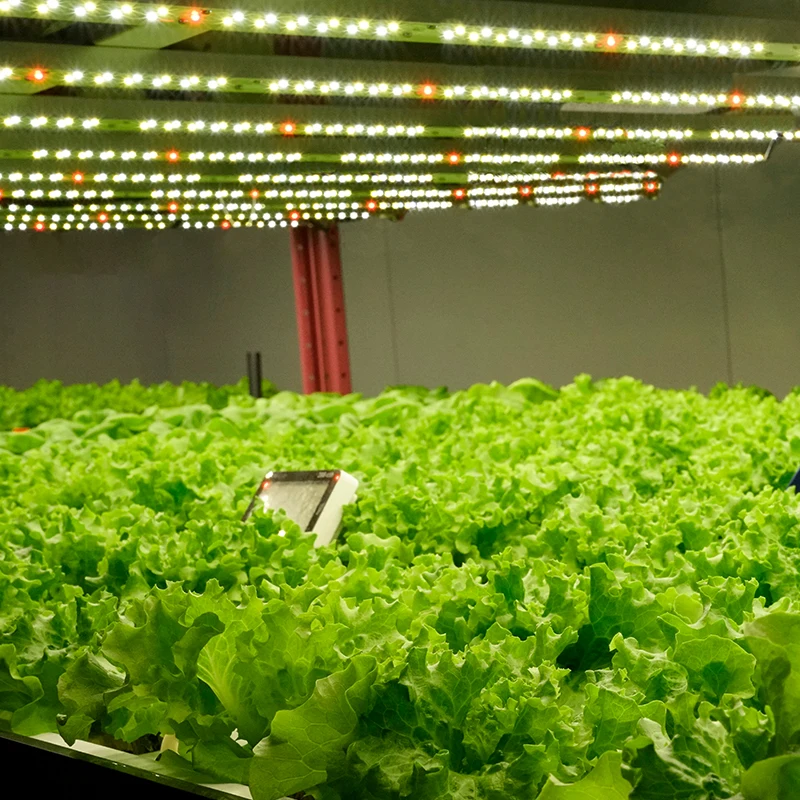 Good Heat Insulation Fashionable Prefab House Prefabricated Shipping growing chamber House For Sale