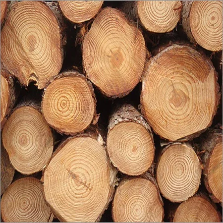Excellent Quality Timber Pine Wood Logs