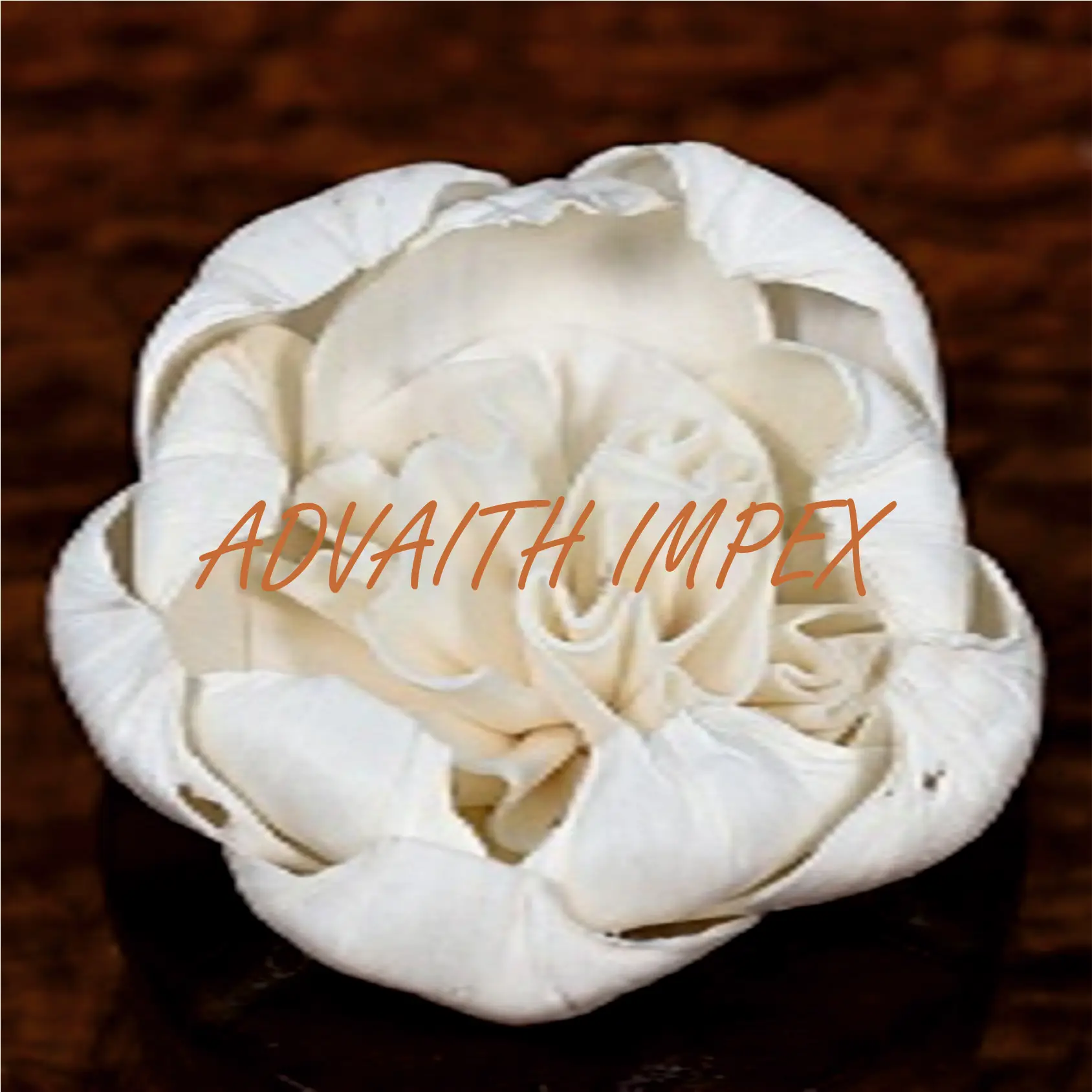 Sustainable Sola Wood Decorative Flower Home Eco-Friendly Handmade Natural Dry Wood Christmas Graduation New Year Easter Decor