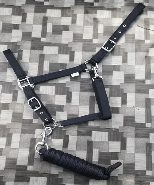 Equestrian Horse Halter Nylon Workout Available Matching Lead Ropes Solid Brass Snap Hook Head Adjustable Horse Halter Tack Shop