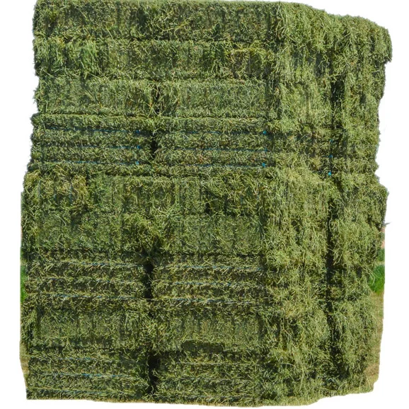 Feed Grade American Alfalfa Hay Timothy Hay Cattle Horse Pets Sheep 500g Sample Alfafa Hay for Animal Feeding
