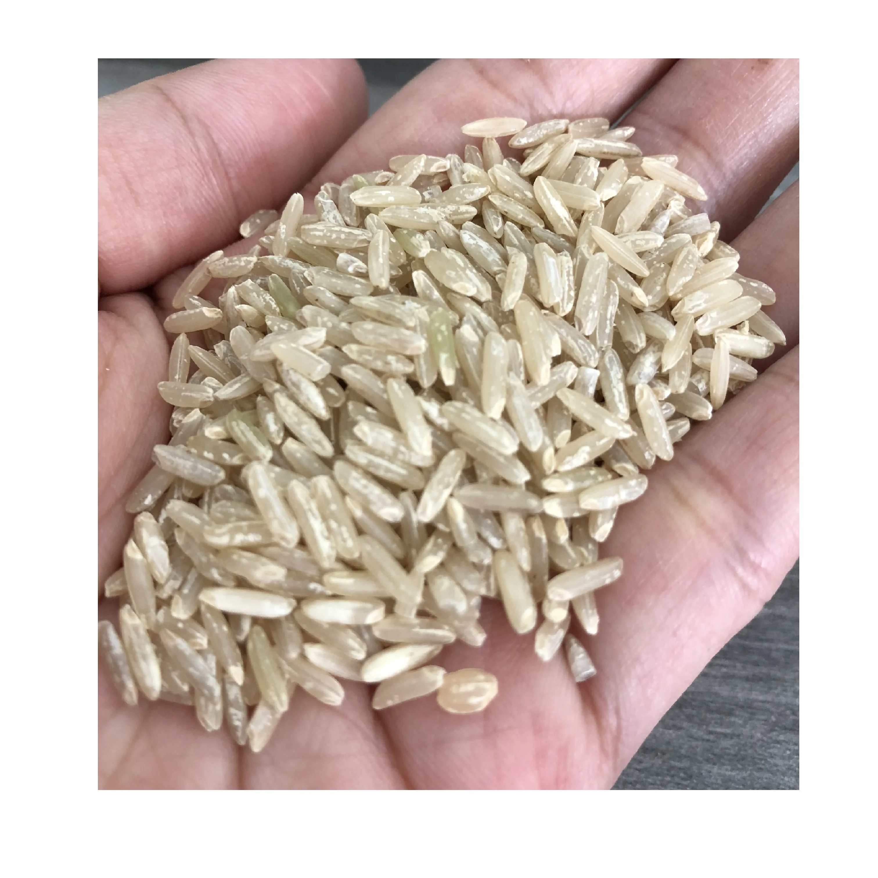 HIGH QUALITY VIETNAMESE 24 MONTHS SHELF LIFE WHOLESALES RICE WITH ISO HACCP BROWN RICE LONG GRAIN MANUFACTURED BY JCC RICE