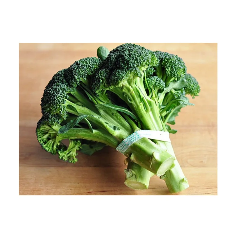 Top Quality Cleaning Fresh Broccoli Wholesale Price Fresh Green Broccoli Vegetables Seller
