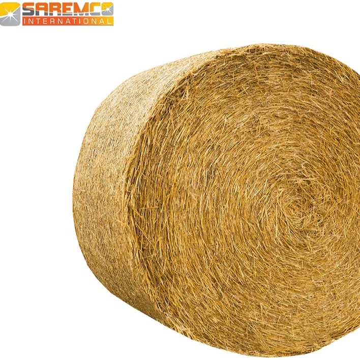 Zero Waste Natural Rice Straw From Pakistan/ High Quality Rice Straw/Animal Feeding Rice Straw Hay Bales for Qatar