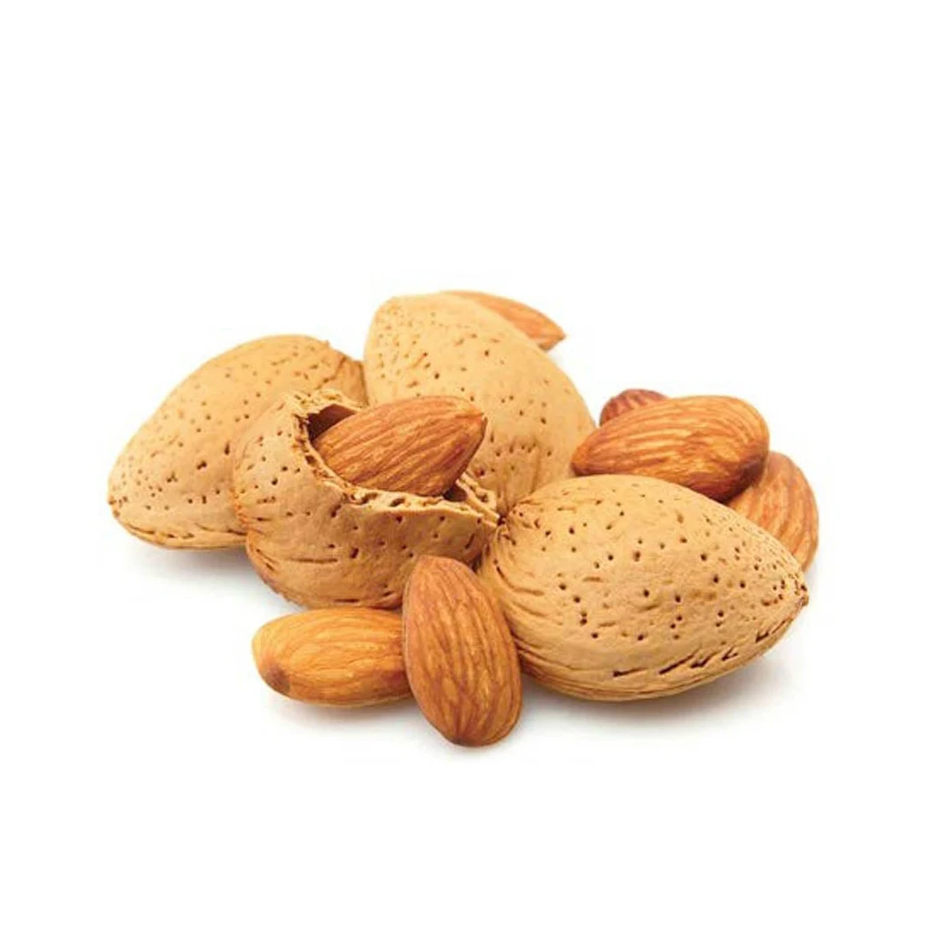 Almond Kernels  Almond Nuts/Almond Without Shell