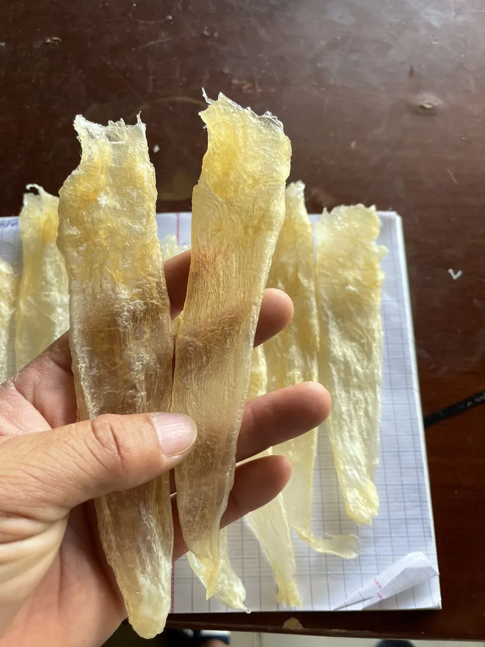 Wholesale dried swim bladder 100% natural dry whole fish maw price from Viet Nam