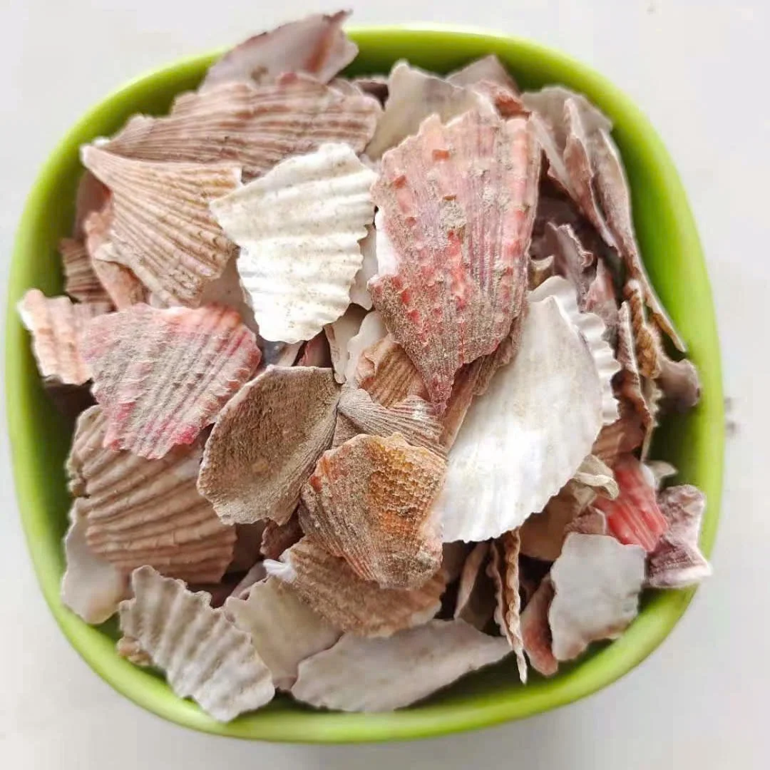 High Quality oyster powder for animal feed scallop shell powder