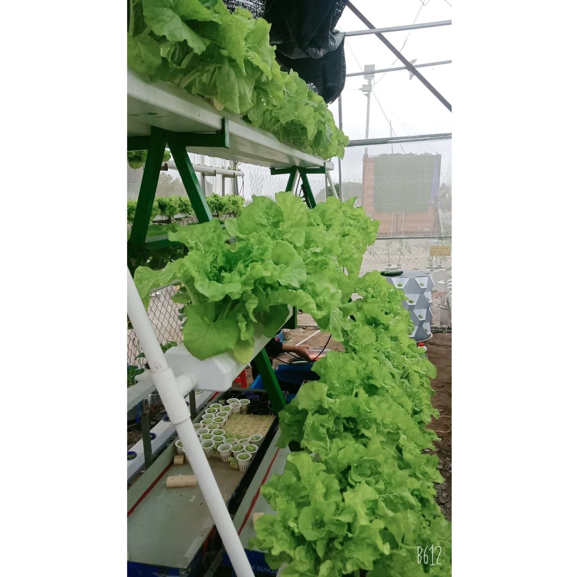 104 Planting Holes Garden Irrigation Plastic PVC Automatic Hydroponic Vegetable Growing System With Substrate