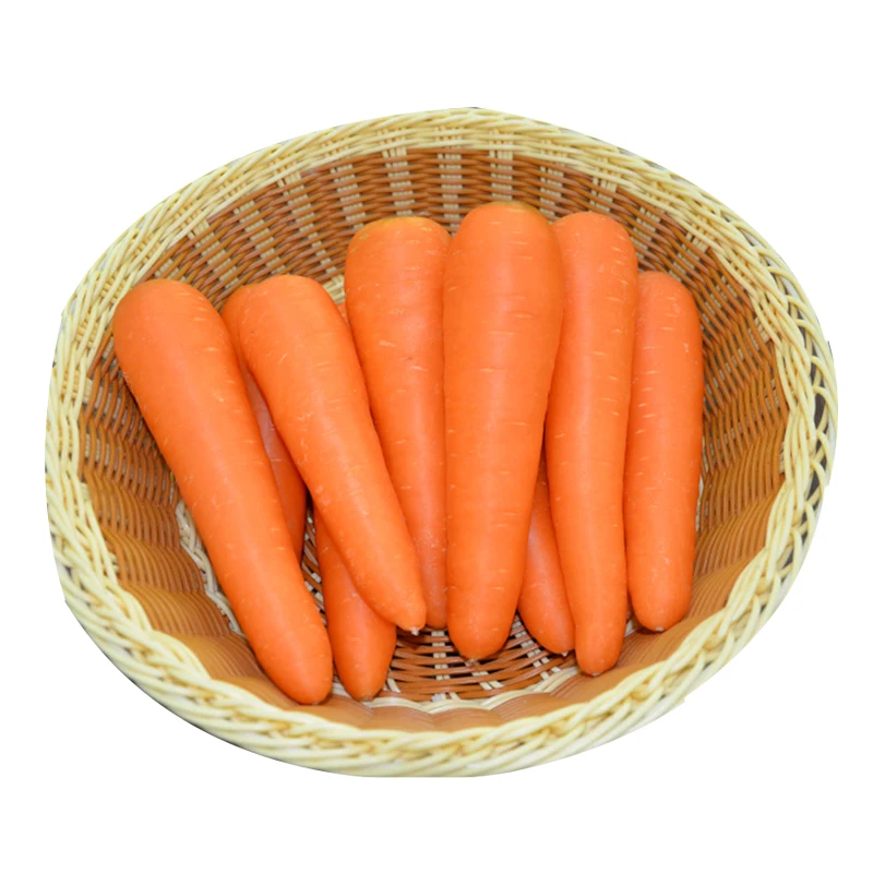 Fresh organic vegetables wholesale carrot Good price carrots available for export