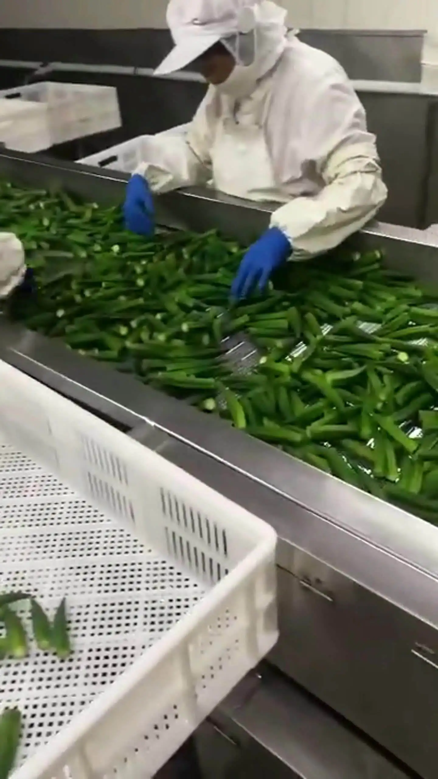 Горячая продажа хорошее качество здоровые органические закуски сушеные свежие