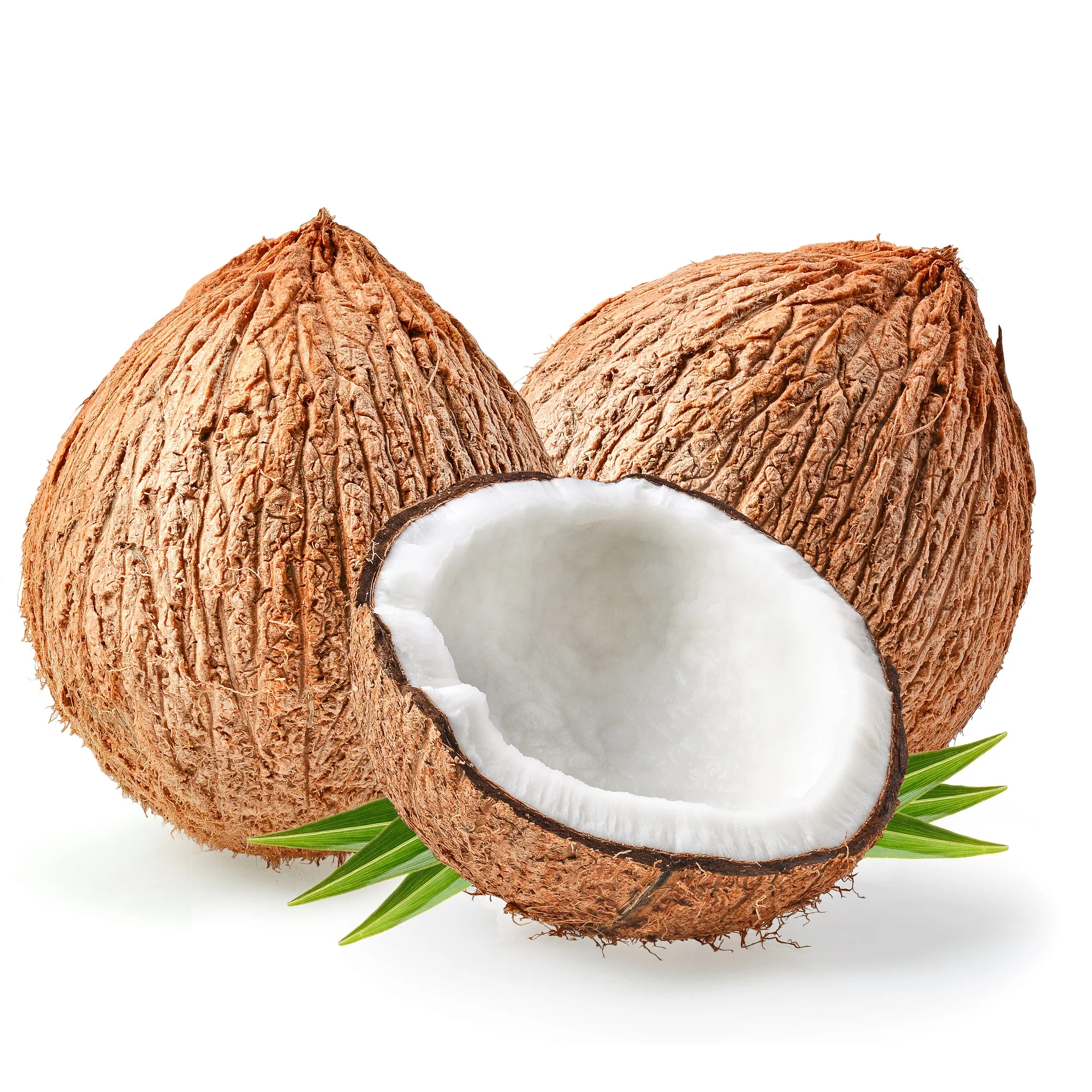 Quality Assured 100% Fresh Natural White Coconut Wholesale Price Semi Husked  Indian Coconut Manufacturer