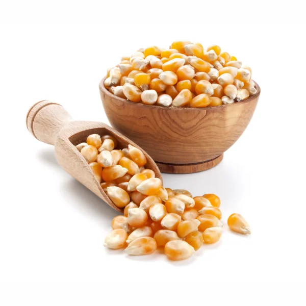 Top Quality Yellow Maize Broken Feeds At Wholesale Prices From India Export Quality Yellow Maize Corn