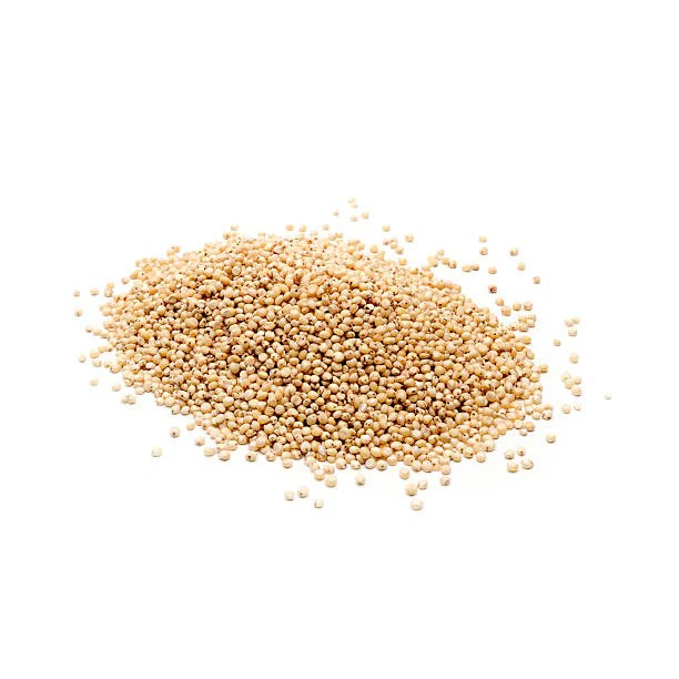 High-quality sorghum grains perfect for food production, animal feed, and industrial use