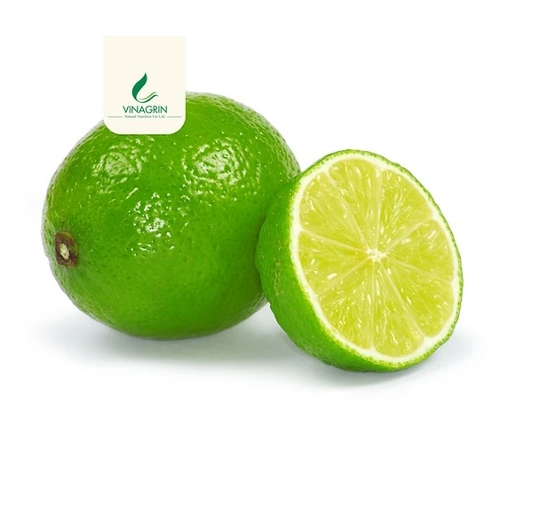 Wholesale Top Quality 100% Natural Sour Fresh Seedless Lime Lemon Rich In Nutrients From Vietnam
