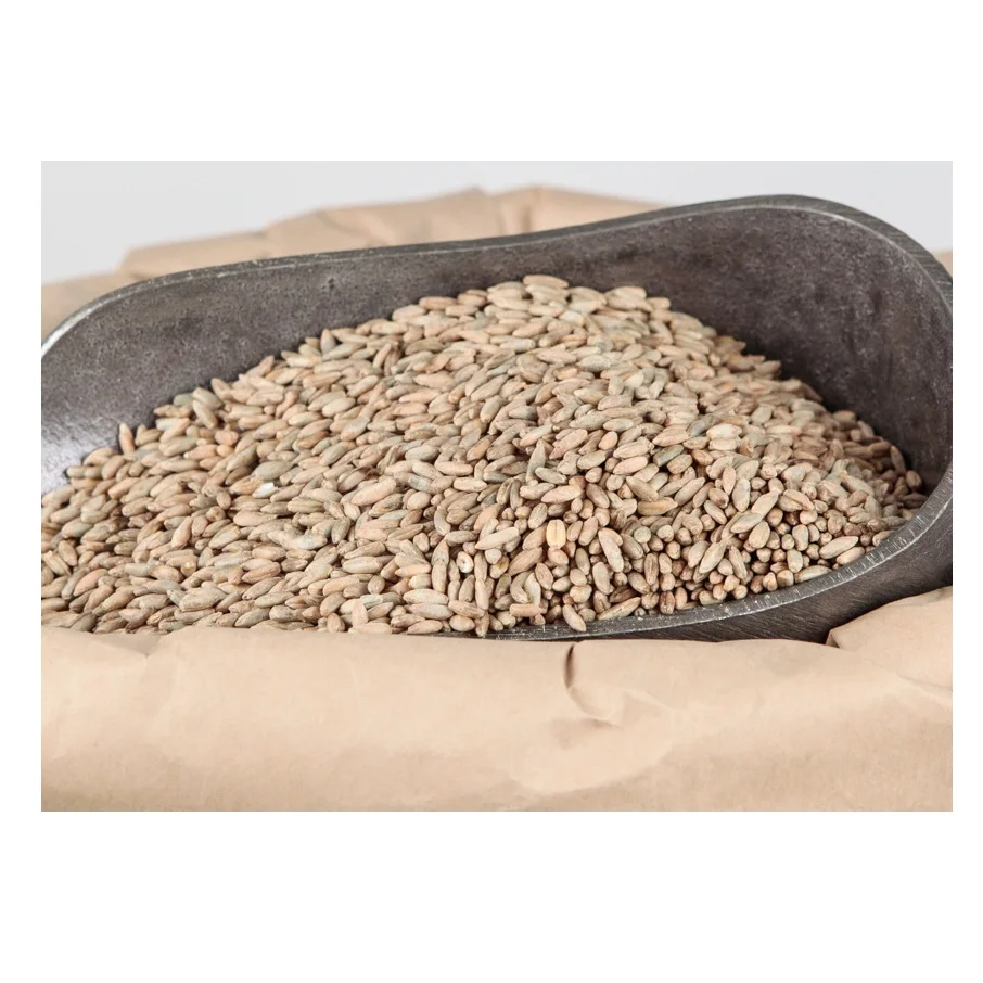 Best Factory Price of Natural Organic Rye Grains Available In Large Quantity