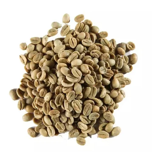 Green Bean Commercial Robusta Aeroco Coffee German Factory Good Price