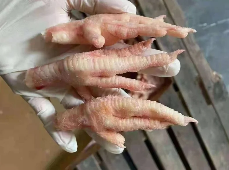PROCESSED CHICKEN PAWS FOR EXPORT