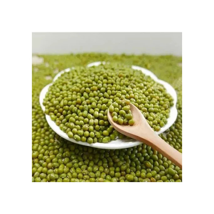 Hot Selling Organic Mung Vigna Beans Fresh Style Green Dried Bulk Packaging High Quality Organic Cultivation
