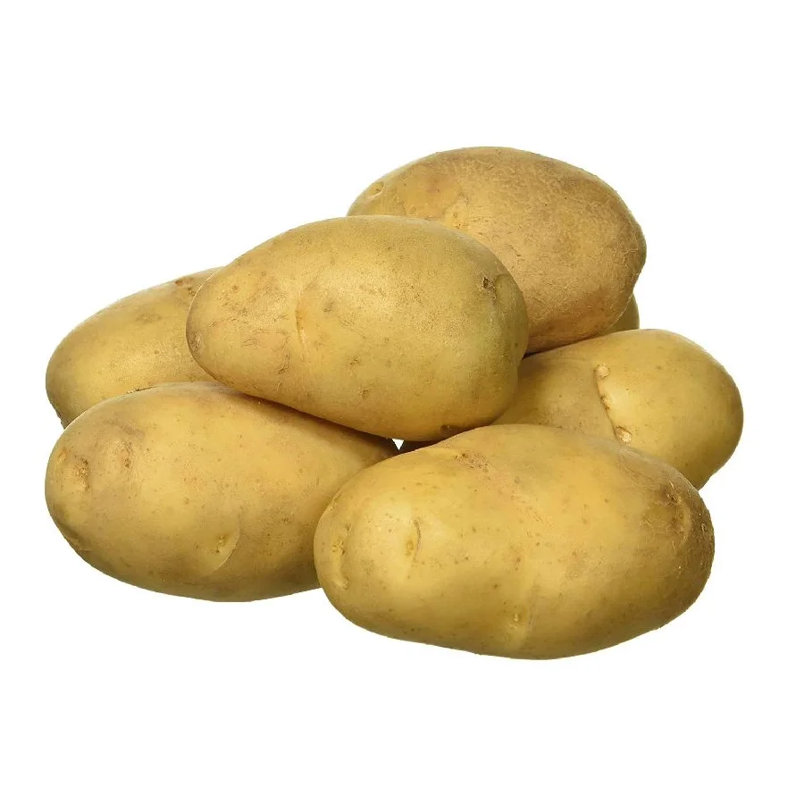 Buy Pure Organically Made Fresh Potato with Customized Size Packing For Food Making Uses By Indian Exporters