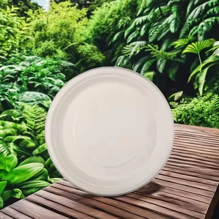 10 Inch Sugarcane Bagasse Disposable round Plate 3 Compartment Biodegradable Paper Tableware for Party Use
