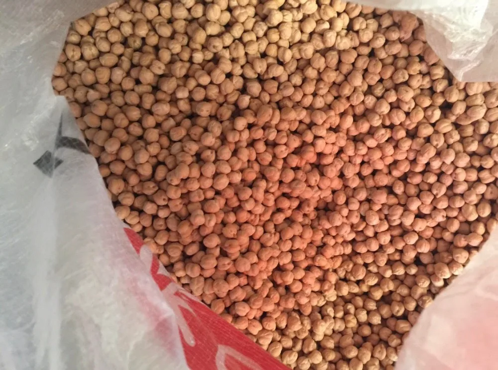 Great quality Chickpeas ecological product of Russia wholesale prices beans grains seeds for sale